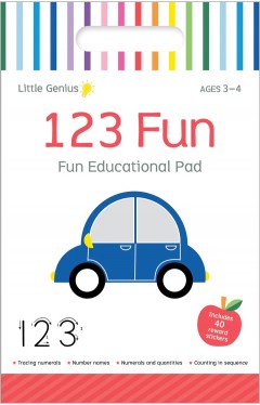 Little Genius Vol 2  Small Activity Pad  123 Fun